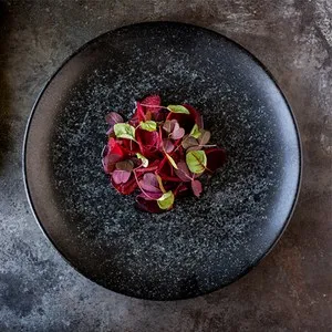 dendom.com/profesionalno-oborudvane-horeca-porcelan-bonna-vesper-matt