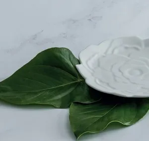Плато бюфет Gural Gastro Studio 48 см