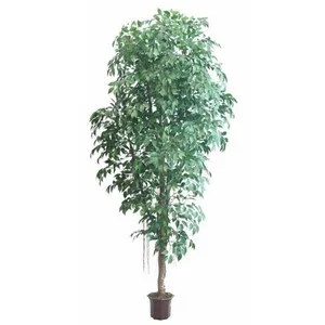 Изкуствен Фикус висок 220 см