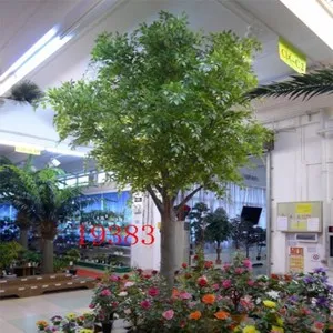 Изкустве Фикус висок 430 см