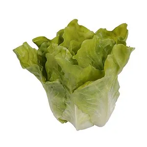 Декоративна маруля